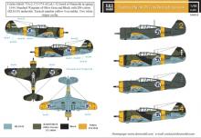 Curtiss Hawk 75A finn szolgálatban